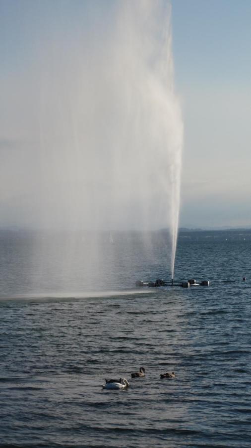 Am Uferpark Blaser * Friedrichshafen